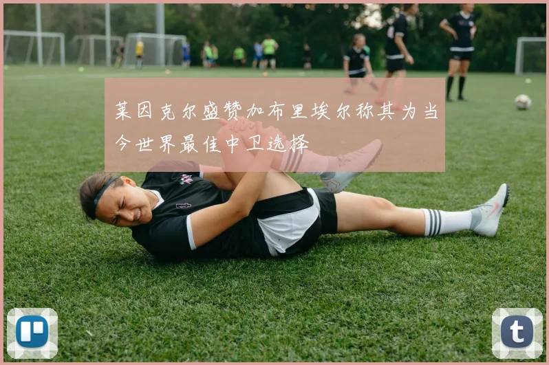 莱因克尔盛赞加布里埃尔称其为当今世界最佳中卫选择