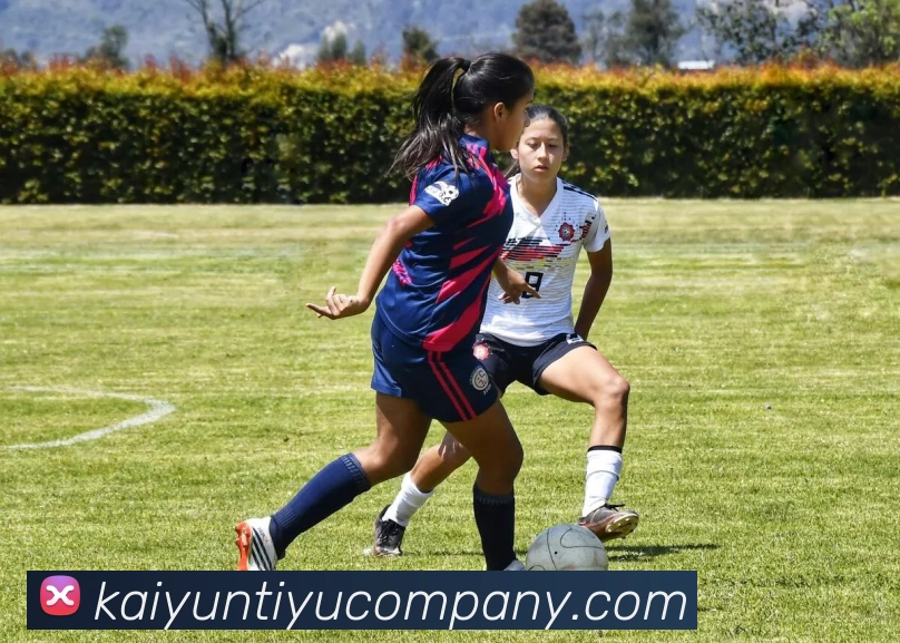 开云足球APP 封面图